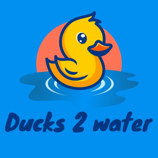 Ducks 2 Water
