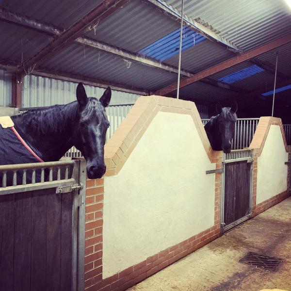 Homestead Stables Livery Yard