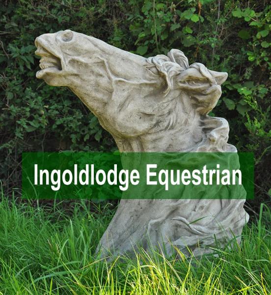 Ingold Lodge Equestrian Livery