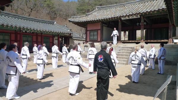 Academy Of Taekwon-do