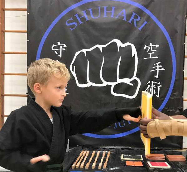 Shuhari Martial Arts