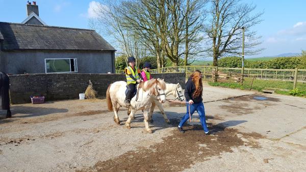 Cimla Equestrian Centre