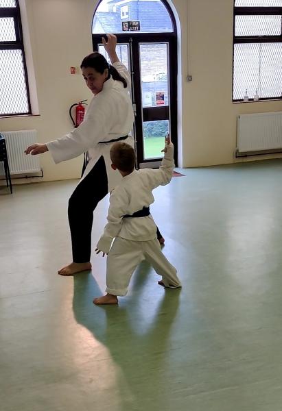Alleyn Black Panther School of Japanese Karate