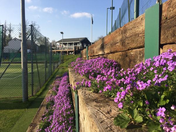 Northampton County Lawn Tennis Club