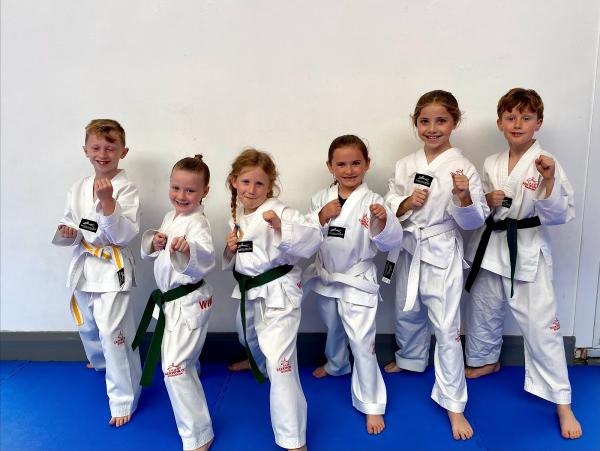 Denbighshire Taekwondo Academy & Family Martial Arts Centre