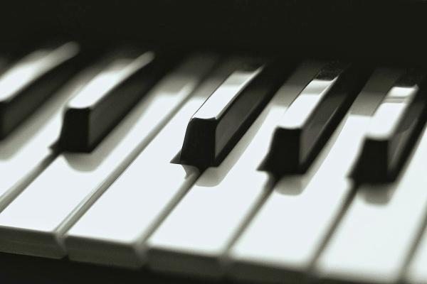 Hampstead Music Lessons