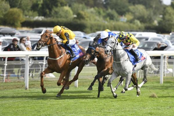 York Race Course Centre