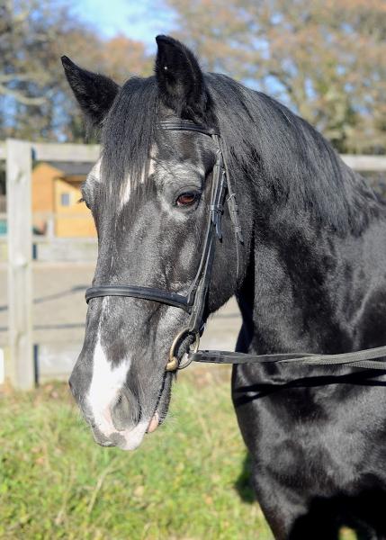 Penniwells Riding For Disabled Centre