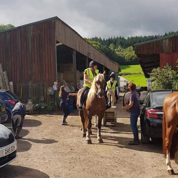 Haldon Riding Stables