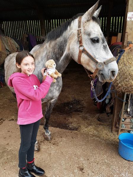 Haldon Riding Stables