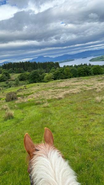 Loch Lomond Pony Trekking