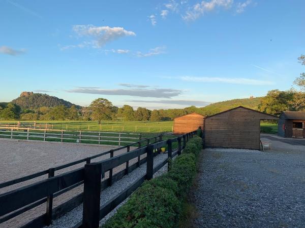 Peckforton Stables