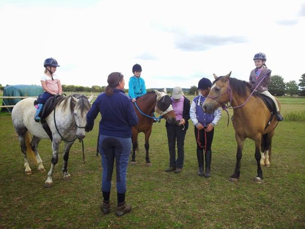 Witney Pony Partners