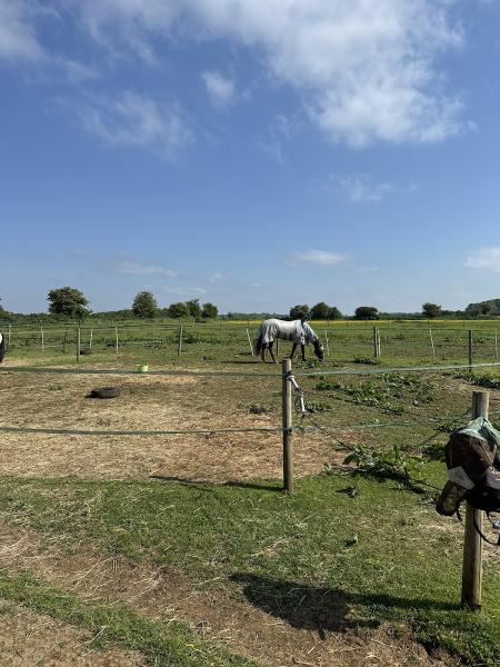 Witney Pony Partners