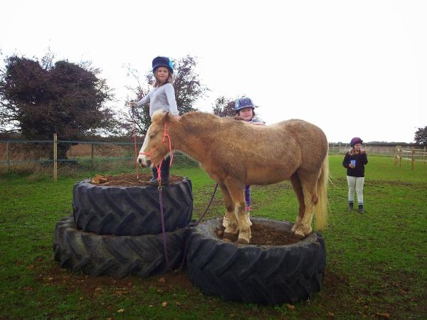 Witney Pony Partners