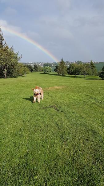 Craigmillar Park Golf Course