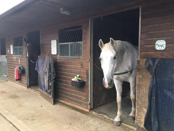 Hill Top Equestrian