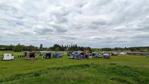 Pachesham Equestrian