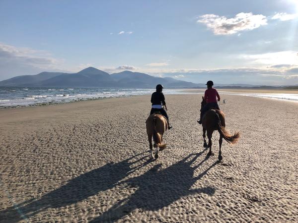 Seahorse Polo and Beach Rides