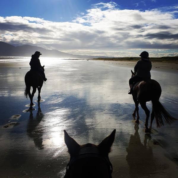 Seahorse Polo and Beach Rides