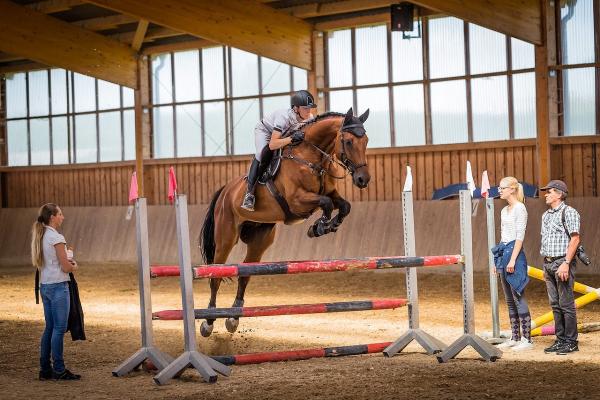 Mill Lane Riding School