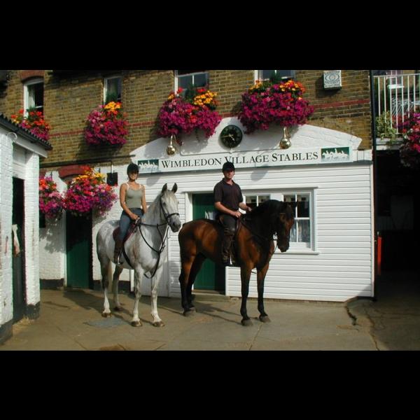 Wimbledon Village Stables