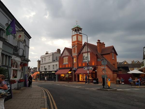 Wimbledon Village Stables