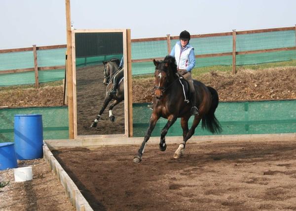 Hogholm Farm Stables