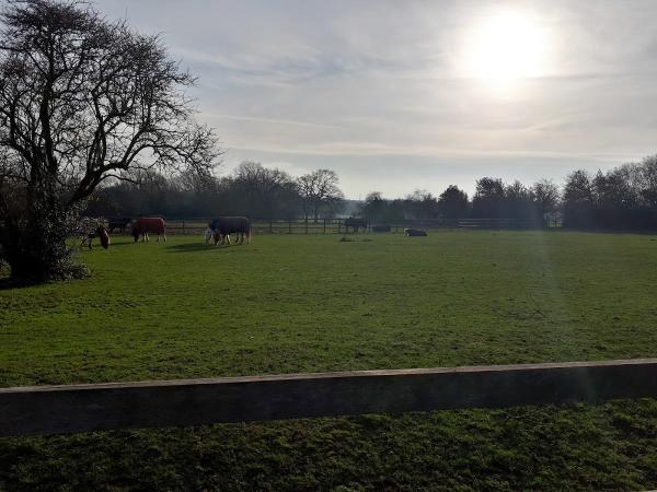 Chiswell Green Livery Yard and Riding School