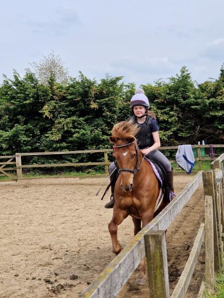 Chiswell Green Livery Yard and Riding School