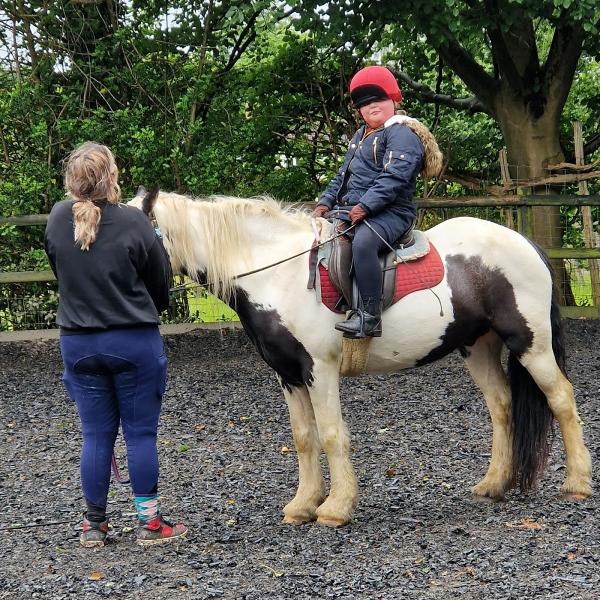 Apple Tree Stables