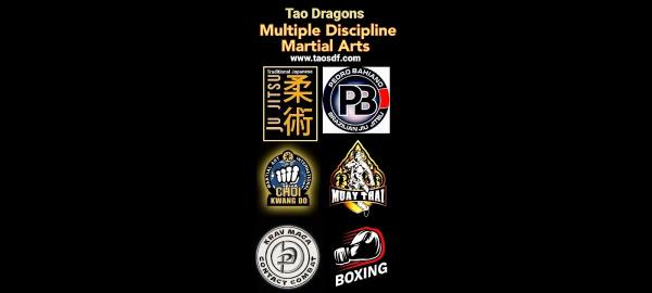 Tao Dragons Martial Arts @ Across Sussex .