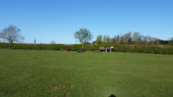 South Leicestershire Riding Establishment