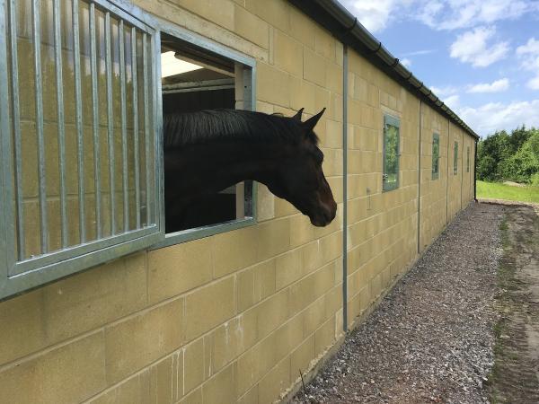 Bradley Road Stables LLP