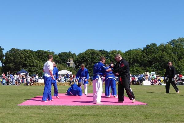 New Forest Martial Arts