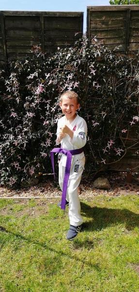 New Forest Martial Arts