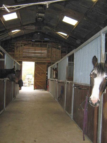 First Choice Dressage and Pilates For Riders