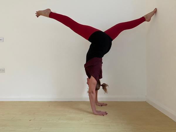 Equilibrium Yoga
