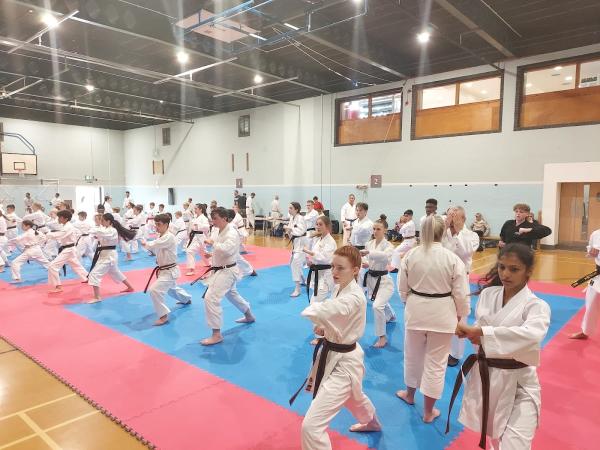 Kaishi Karate School