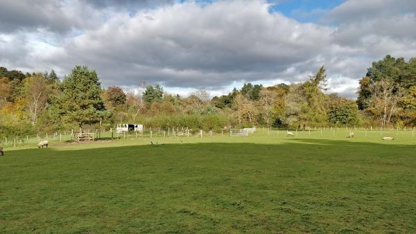 Dean Castle Riding Centre