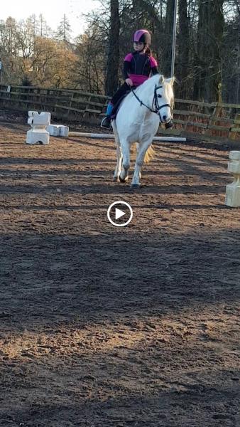 Dean Castle Riding Centre