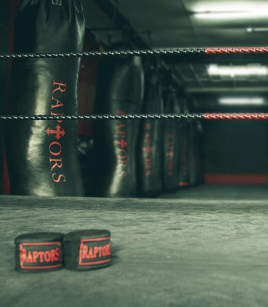 Raptors Muay Thai & Fitness