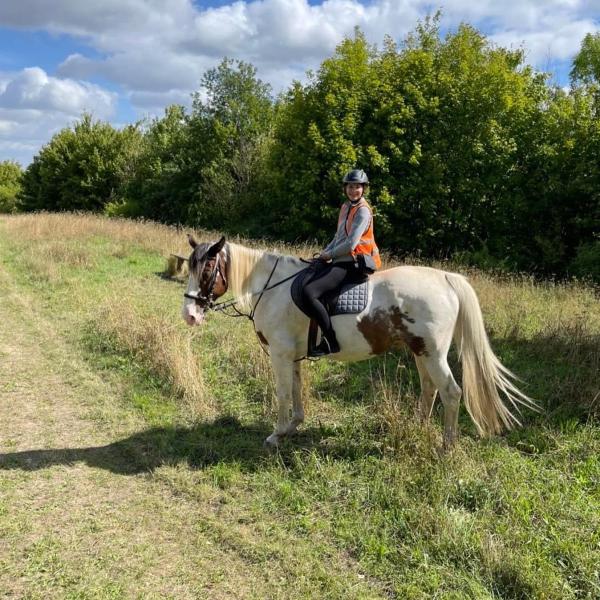 Derbyshire Pony Trekking
