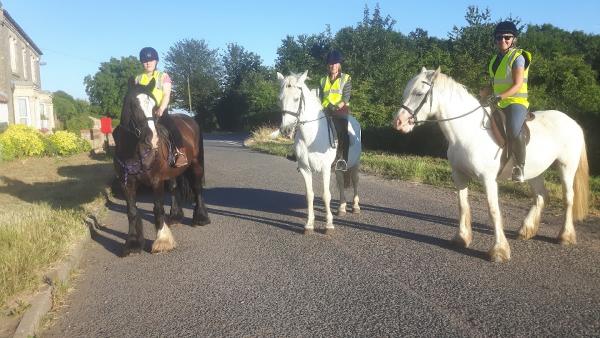 Chestnut Farm Equestrian Centre