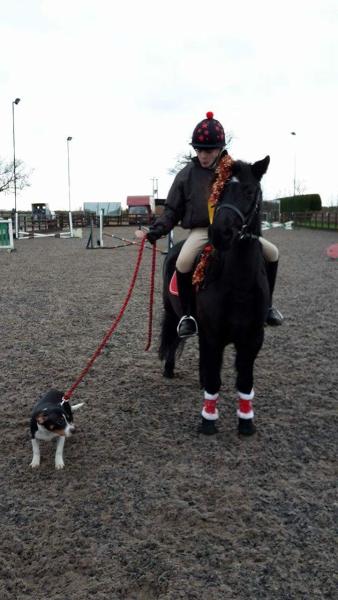 Long Drove Dressage Centre