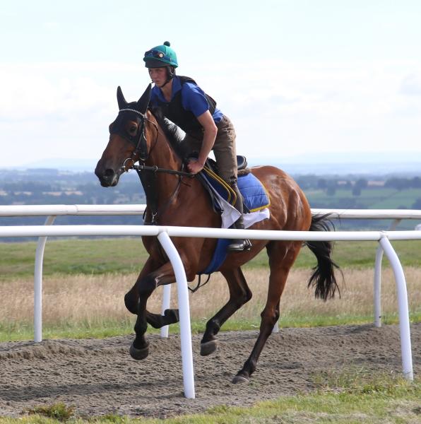 Micky Hammond Racing