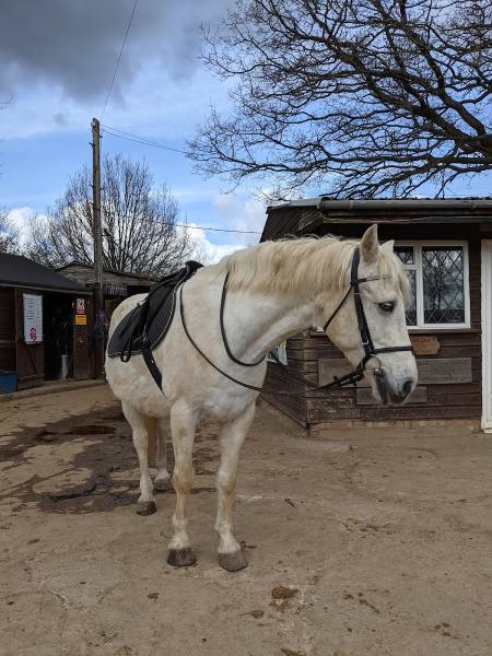Kingsmead Equestrian Centre