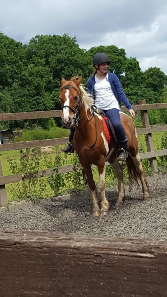 Kingsmead Equestrian Centre