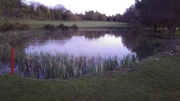 Astbury Golf Club