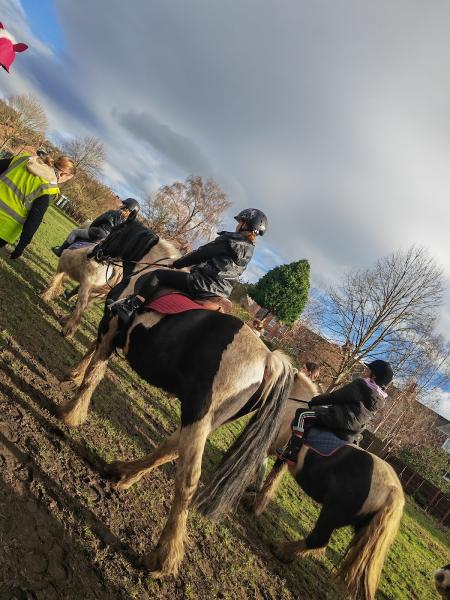 Park Riding School